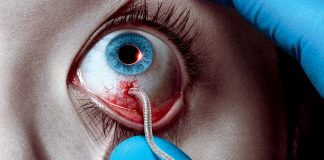 The Strain 2. Sezon Onayını Aldı The_Strain_FX
