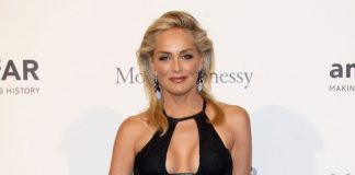 Sharon Stone, TNT’nin Yeni Draması “Agent X”de Sharon Stone TNT’nin Yeni Draması “Agent X”de