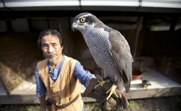 Kore’nin Vahşi Yaşamı Nat Geo WILD’da