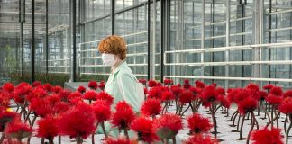 Filmekimi 2019: Dizi-Mania’nın Önerdiği 10 Film