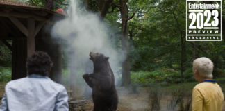 Çıldırmış Ayı Film İncelemesi