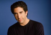 David Schwimmer Yeni Dizi Projesiyle Dönüyor