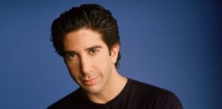 David Schwimmer Yeni Dizi Projesiyle Dönüyor