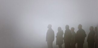 Stephen King’in The Mist Romanı Dizi Oluyor